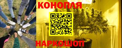 PSILOCYBIN Малоярославец