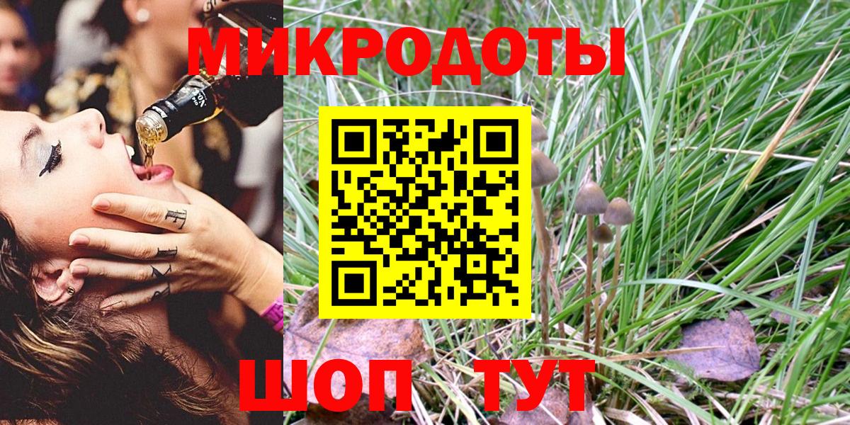 Хасавюрт  Псилоцибиновые грибы мицелий  Вход с VPN 